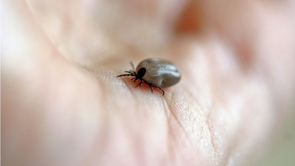 fsme Impfung Kinderarzt in Cape 10